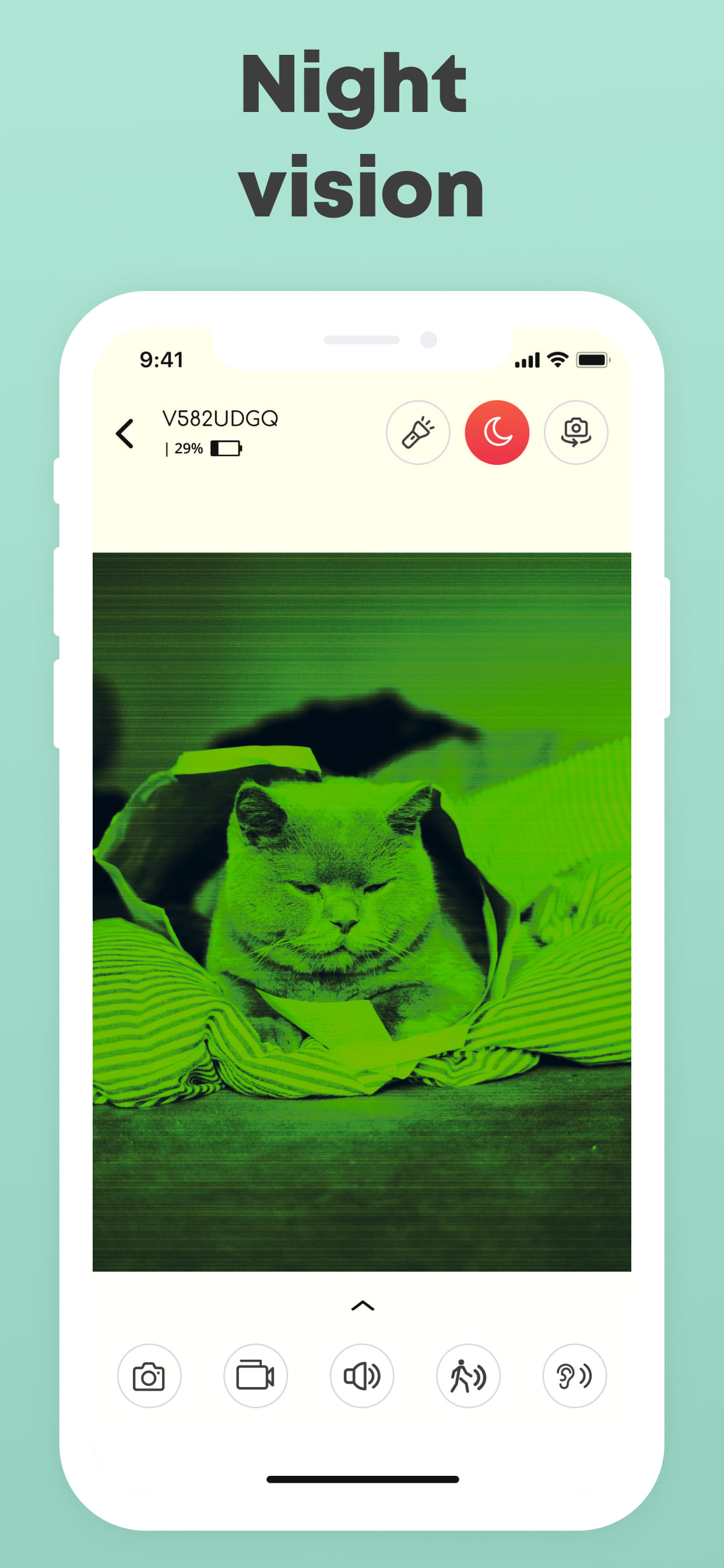 pet cam